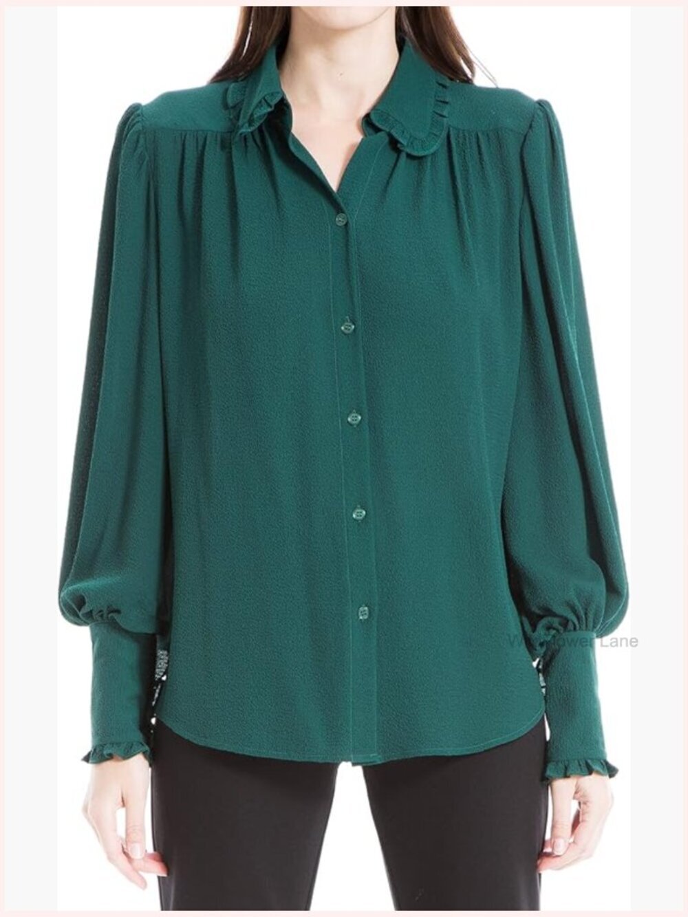 Long Sleeve Button Down Shirt - Spread Collar, Regular Fit